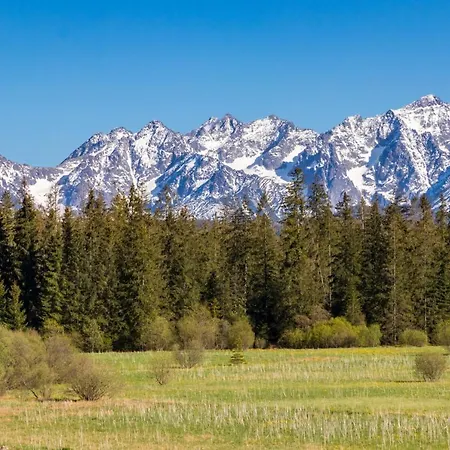 Lesny Dwor 住宿加早餐酒店